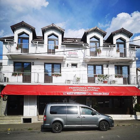 Pensiunea Mikelis International Hotel Curtea De Arges Exterior photo