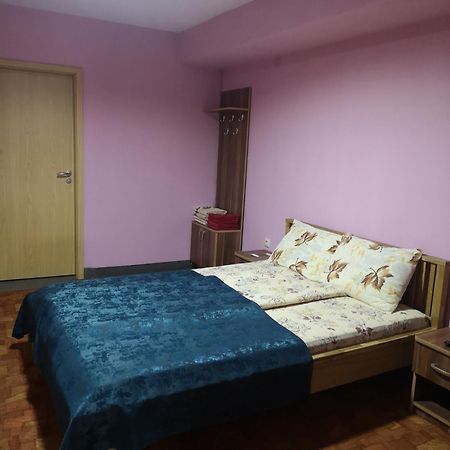 Pensiunea Mikelis International Hotel Curtea De Arges Exterior photo