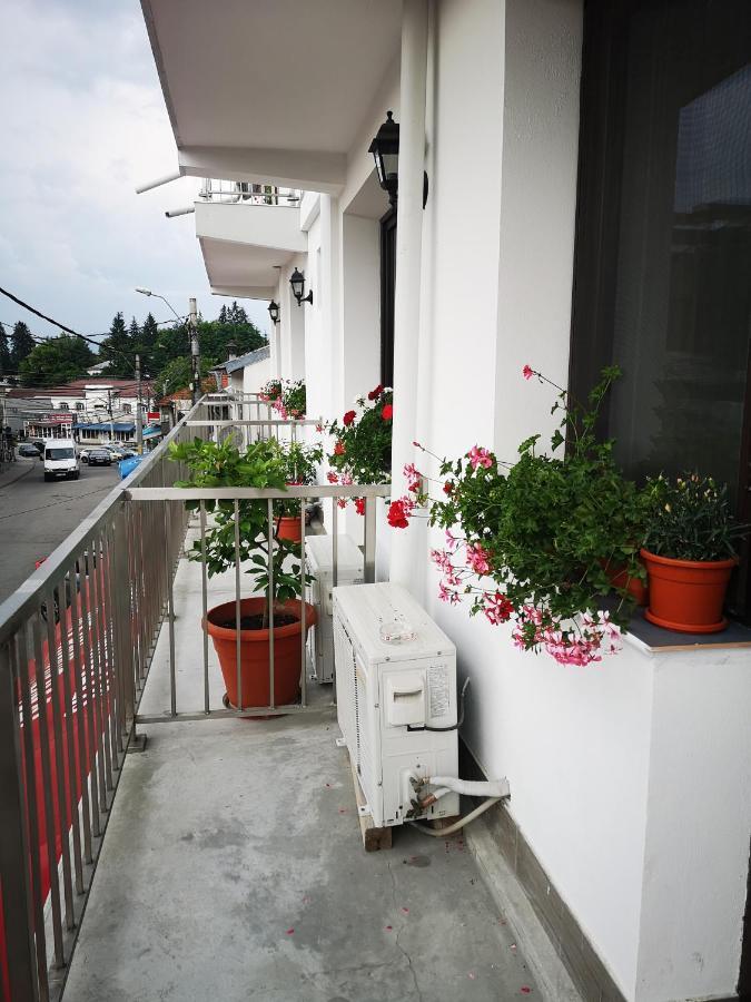 Pensiunea Mikelis International Hotel Curtea De Arges Exterior photo